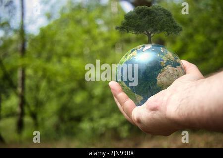 A closeup of human hand holding earth small figure with growing tree on it Stock Photo