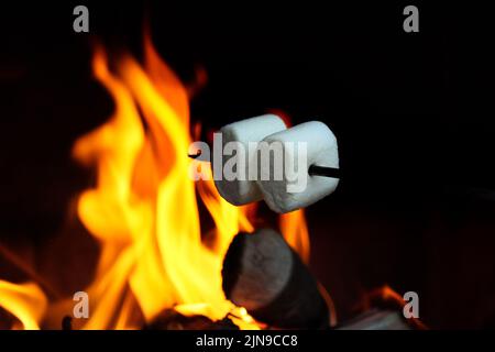 two candy white marshmallow on a stick campfire roasting Stock Photo