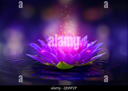 lotus Pink light purple floating light sparkle purple background Stock Photo