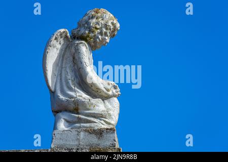 Seraphim angel praying with hands clasped for faith and hope of better days Stock Photo