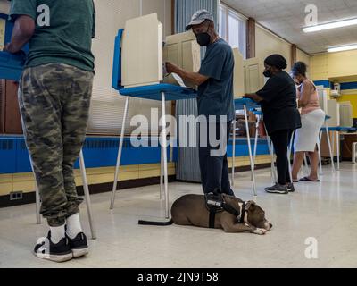 Milwaukee, Wisconsin, USA. 9th Aug, 2022. A service dog waits for his person to finish voting during WisconsinÃs Partisan Primary Election. (Credit Image: © Sue Dorfman/ZUMA Press Wire) Stock Photo