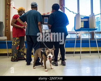 Milwaukee, Wisconsin, USA. 9th Aug, 2022. A service dog waits for his person to finish voting during WisconsinÃs Partisan Primary Election. (Credit Image: © Sue Dorfman/ZUMA Press Wire) Stock Photo