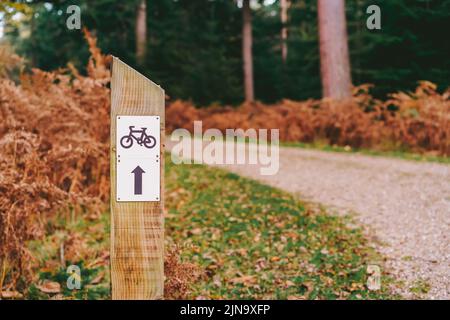 Signpost biking trails with arrow driving direction of the road. Wooden sign in the autumn forest with empty path. Selective focus, copy space Stock Photo