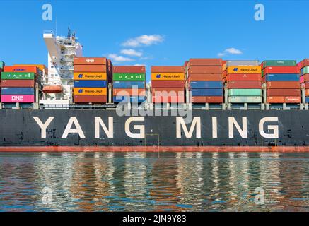 Yang ming logo Stock Photo - Alamy