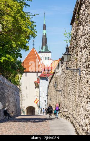 A cobbled street between defensive stone walls from the Upper Town to the Lower Town in the old town of Tallinn the capital city of Estonia Stock Photo