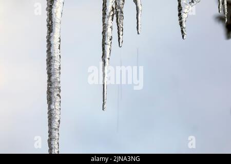 WA21884-00...WASHINGTON - Water dripping off icicles on a house roof. Stock Photo