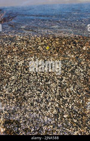 Gray granite with black and white inclusions. Granite background texture, top view Stock Photo