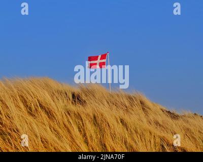 Danish flag blowing in the wind over the top of a sand dune, Fanoe, Jutland, Denmark Stock Photo