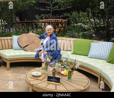 Dame Judi Dench, actress, in the Woodland Heritage Garden, Chelsea Flower Show photocall,  London, England
