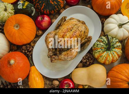 Roasted chicken or turkey on a table for Thanksgiving dinner, surrounded by pumpkins, apples, nuts and cones. Autumn fall flat lay composition. Stock Photo