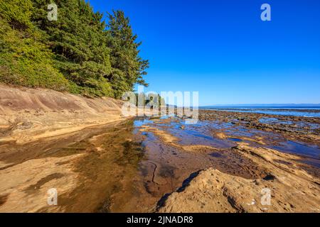 Shallow tide pools on the weathered sandstone beach at Botanical Beach in Juan de Fuca Provincial Park Stock Photo