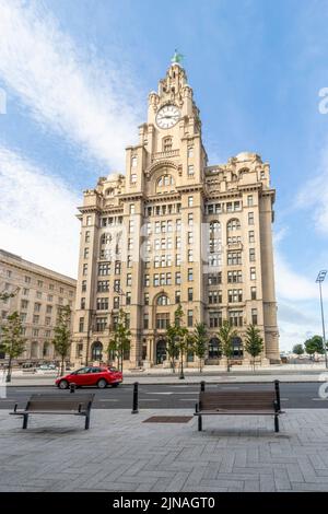 liver building in Liverpool Merseyside Stock Photo