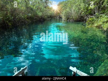 Mexico tourism destination, caves and pools of Cenote Escondido near Tulum and Playa Del Carmen. Stock Photo