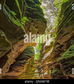 Wooden walkway in Witches Gulch on the Wisconsin River in wisconsin dells in the state of Wisconsin USA Stock Photo