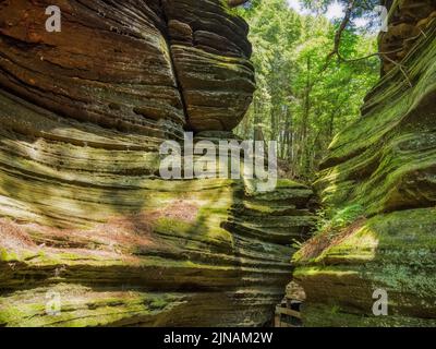 Wooden walkway in Witches Gulch on the Wisconsin River in wisconsin dells in the state of Wisconsin USA Stock Photo