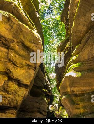 Wooden walkway in Witches Gulch on the Wisconsin River in wisconsin dells in the state of Wisconsin USA Stock Photo