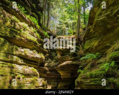 Wooden walkway in Witches Gulch on the Wisconsin River in wisconsin dells in the state of Wisconsin USA Stock Photo