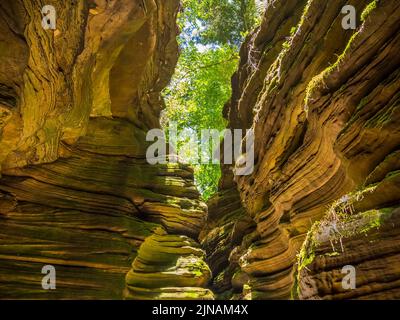 Wooden walkway in Witches Gulch on the Wisconsin River in wisconsin dells in the state of Wisconsin USA Stock Photo