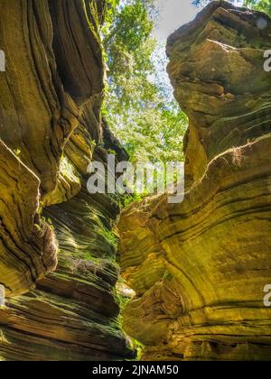 Wooden walkway in Witches Gulch on the Wisconsin River in wisconsin dells in the state of Wisconsin USA Stock Photo