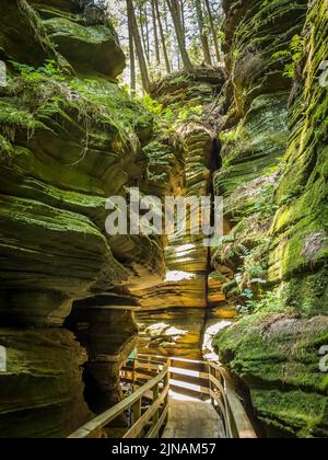 Wooden walkway in Witches Gulch on the Wisconsin River in wisconsin dells in the state of Wisconsin USA Stock Photo