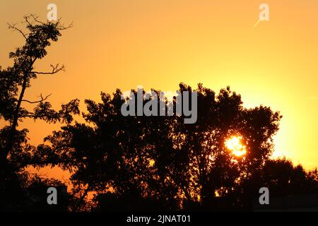 Sunset behind trees Stock Photo