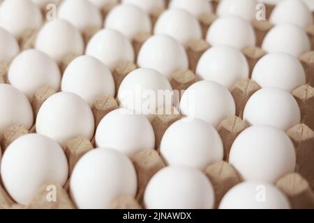 Close Up of raw chicken eggs in paper egg tray. Group of Fresh white Eggs in a cardboard cassette. Organic food from nature good for health Stock Photo