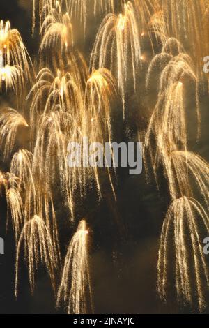 Long exposure of golden fireworks creating a waterfall in the night sky. Stock Photo