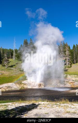 Riverside Geyser erupts in Yellowstone National Park, with a rainbow in Wyoming USA Stock Photo