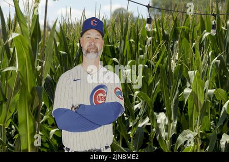 Dyersville, United States. 10th Aug, 2022. A life size poster of Chicago Cubs manager David Ross stands in the cornfield for Major League Baseball's second annual Field of Dreams game between the Cincinnati Reds and Chicago Cubs in Dyersville, Iowa, Wednesday, August 10, 2022. Photo by Mark Black/UPI Credit: UPI/Alamy Live News Stock Photo