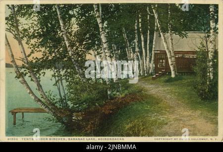 Tents under Birches, Saranac Lake Stock Photo - Alamy
