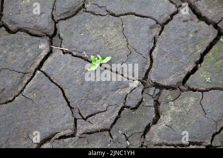 Dry conditions at Ladybower and Derwent Reservoirs, summer 2022 in the Peak District Stock Photo
