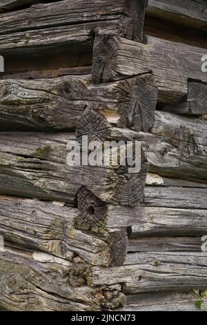 Close-up of interlocked old stacked logs forming the corner joints on an old storage shed. Stock Photo