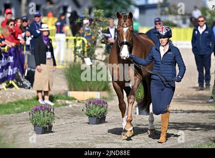 Herning, Denmark. 10th Aug, 2022. World Equestrian Games. Stables. Charlotte Dujardin (GBR) riding IMHOTEP during the dressage horse inspection. Credit: Sport In Pictures/Alamy Live News Stock Photo