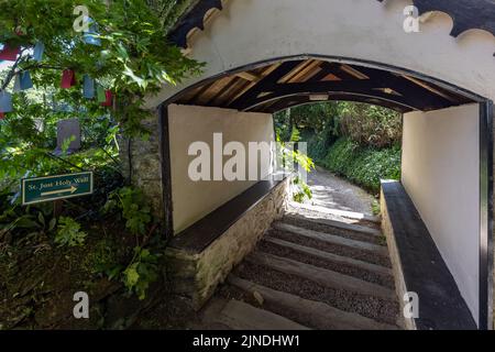 Steps to the Holy Well at St Just in Roseland Church on the Roseland Peninsula in Cornwall. Stock Photo