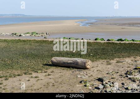 Flint foreshore on the River Dee at low tide with a large piece of driftwood Stock Photo