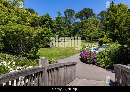 Trelissick House and gardens in Cornwall Stock Photo