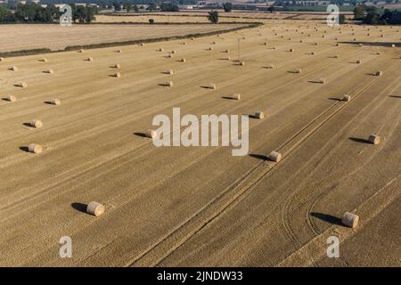 Felton Butler, Shropshire, England, August 11th 2022. - Hundreds of hay bales stand in the morning sun on dry and parched land in Felton Butler near Shrewsbury, Shropshire as the heatwave continues to hit the UK and Europe with extreme heat warnings issued to most of England and Wales. Pic by Credit: Stop Press Media/Alamy Live News Stock Photo