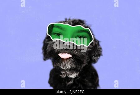 Magazine style collage with happy cute dog with female eyes expressing happiness isolated on purple background. Animal look at modern lifestyle Stock Photo