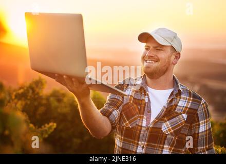 A casual, happy and smiling young male farmer holding a laptop in a vineyard with flare. A relaxed, carefree and natural outdoors man using technology Stock Photo
