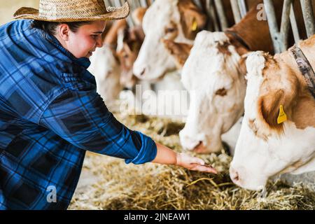 Young curvy farmer woman working inside cowshed - Main focus on girl ear Stock Photo