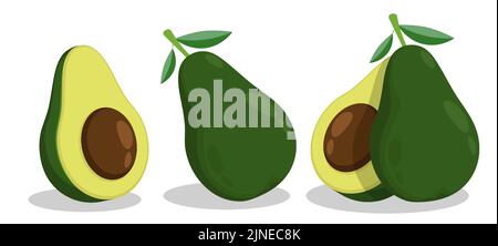 Avocado fruit whole and cut with large pit in center. Exotic fruit. Cartoon vector isolated on white background Stock Vector