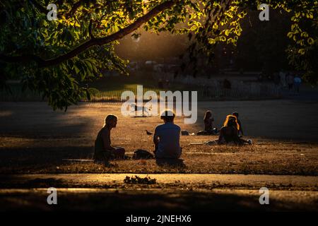 London, UK. 10th August, 2022. UK Weather: Evening light in Greenwich Park. The extreme summer heat and drought continues with Britain braced for another heatwave predicted to last longer than July’s record-breaking hot spell, with highs of up to 35C expected over this week. Credit: Guy Corbishley/Alamy Live News Stock Photo