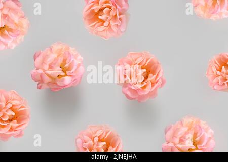 Floral pattern made of pink bush roses, green leaves on gray background. Flat lay, top view. Valentine's background. Stock Photo