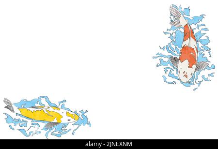 Illustration of carp swimming: no background, with lines Stock Vector