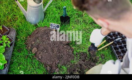 Blurred gardener holding shovel near soil and board with go green lettering in garden,stock image Stock Photo