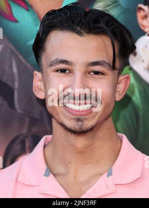 LOS ANGELES, CALIFORNIA, USA - AUGUST 10: Matt Ramos arrives at the World Premiere Of Netflix's 'Day Shift' held at Regal Cinemas LA Live Stadium 14 on August 10, 2022 in Los Angeles, California, United States. (Photo by Xavier Collin/Image Press Agency) Stock Photo