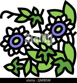 passiflora flower liana color icon vector illustration Stock Vector