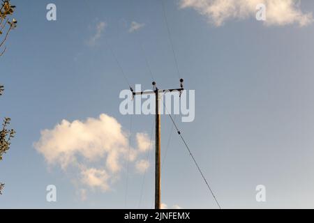 Electricity transformer. Wires, wooden pole, cables nature Stock Photo