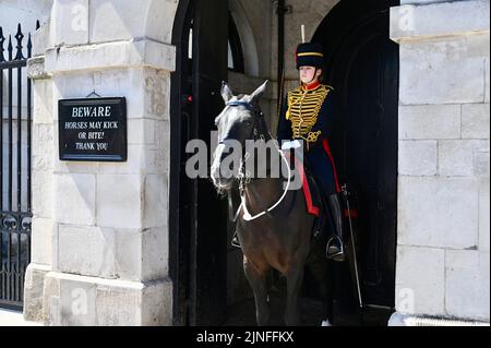 London, UK. 11th Aug, 2022. London, UK. Mounted sentries of the King's Troop Horse Artillery struggled with the heat as temperatures reached 33 degrees in Central London. Horse Guards Parade, Whitehall. Credit: michael melia/Alamy Live News Stock Photo