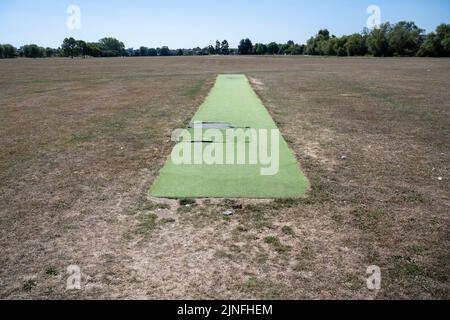 London, UK.  11 August 2022.  UK Weather – A cricket wicket in parched playing fields in Northwick Park in north west London.  The Met Office has issued an amber extreme heat warning across England and Wales lasting for the rest of the week when temperatures are expected to rise above 30C. The risk of wildfires remains high as the driest spell in England for 46 years continues and the expectation is that a drought will be officially declared by the Environment Agency tomorrow.  Credit: Stephen Chung / Alamy Live News Stock Photo